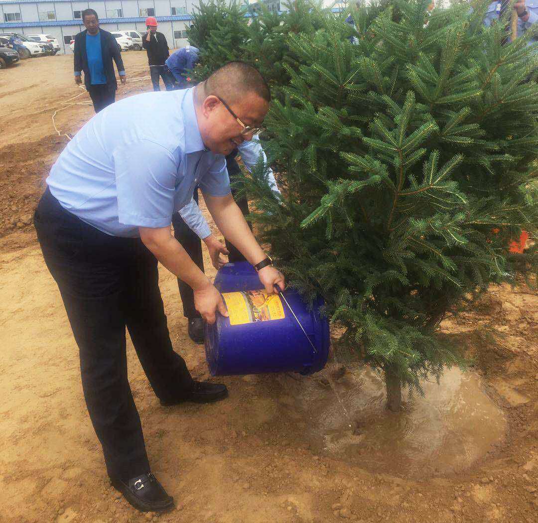 1561513388482985.jpg 1561513388482985.jpg