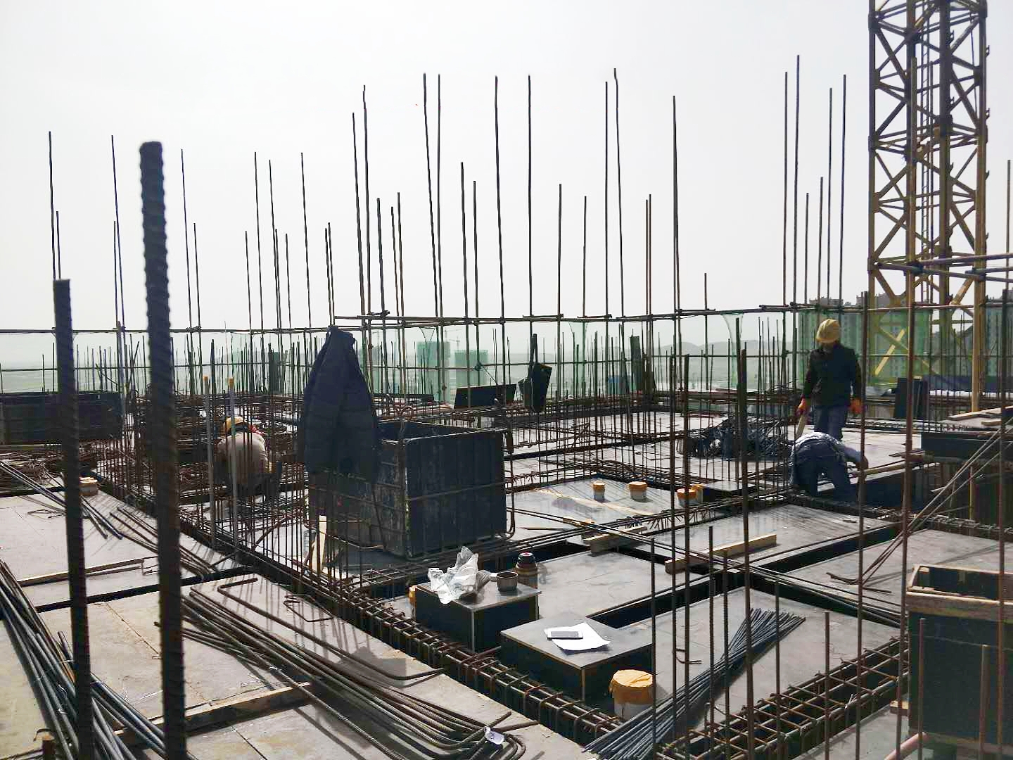 1593590089934448.jpg 1593590089934448.jpg