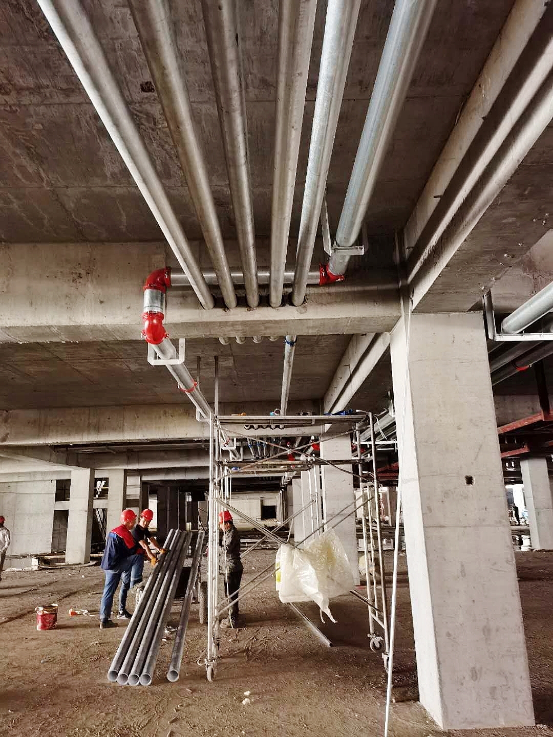 1597049295474663.jpg 1597049295474663.jpg