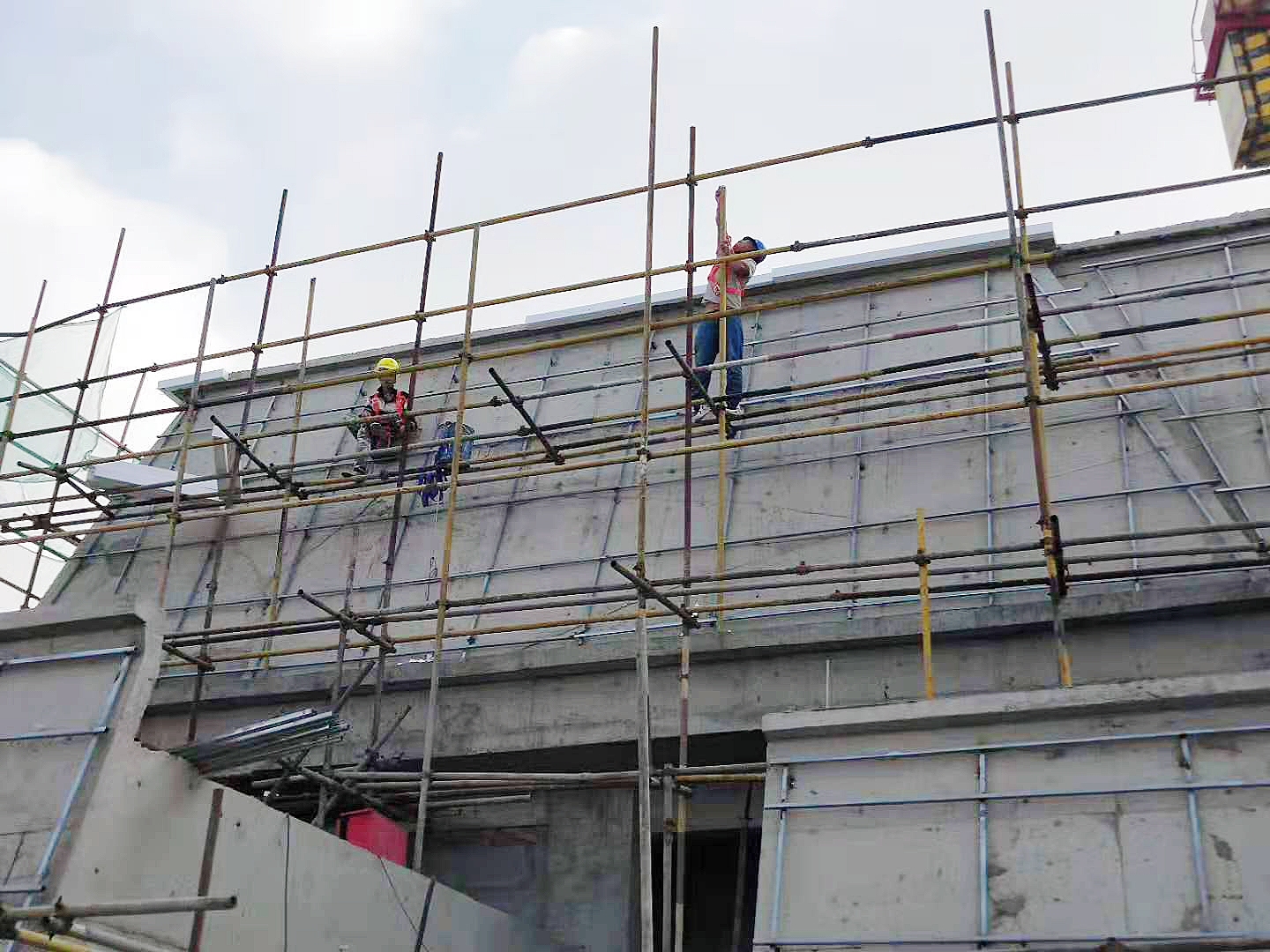 1600239702743431.jpg 1600239702743431.jpg