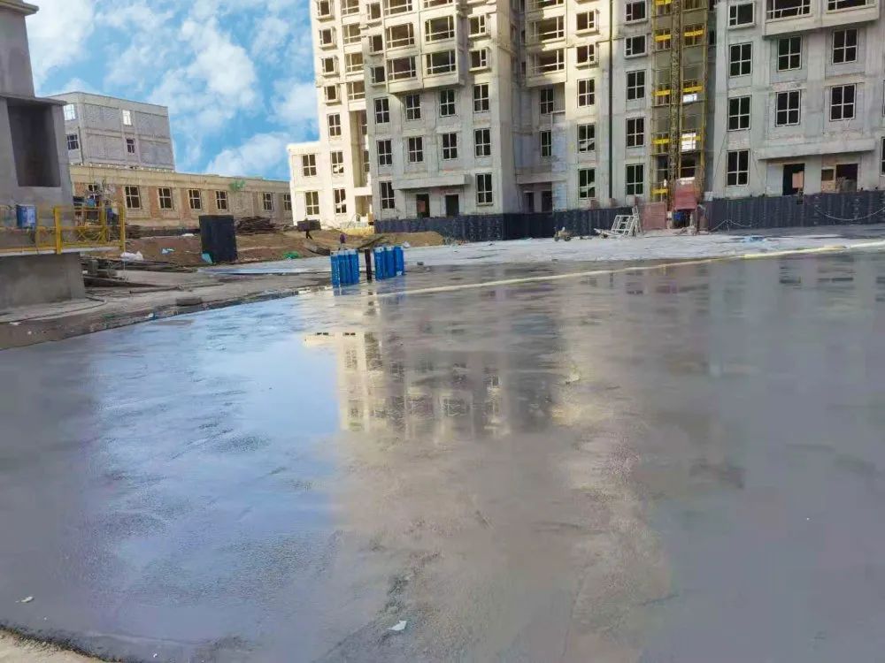 1605686803206520.jpg 1605686803206520.jpg