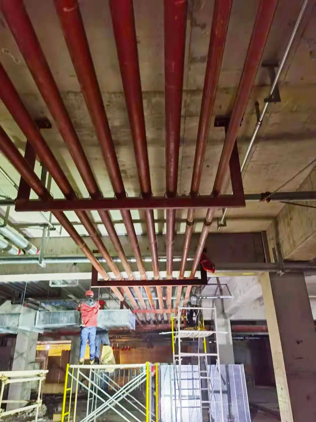 1608612217355004.jpg 1608612217355004.jpg