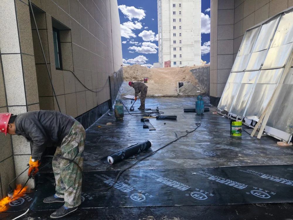 1608702697764147.jpg 1608702697764147.jpg