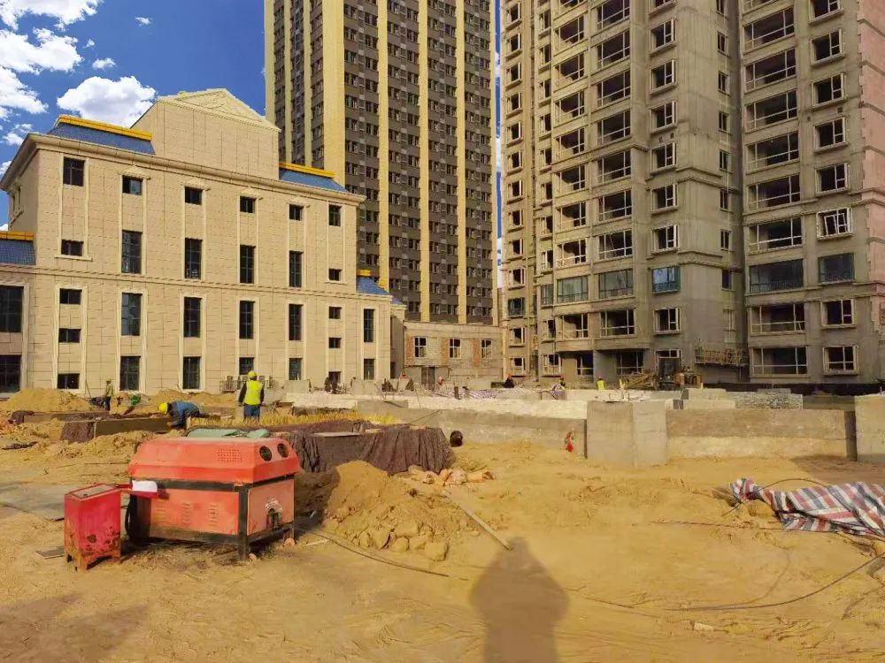 1608703696995368.jpg 1608703696995368.jpg