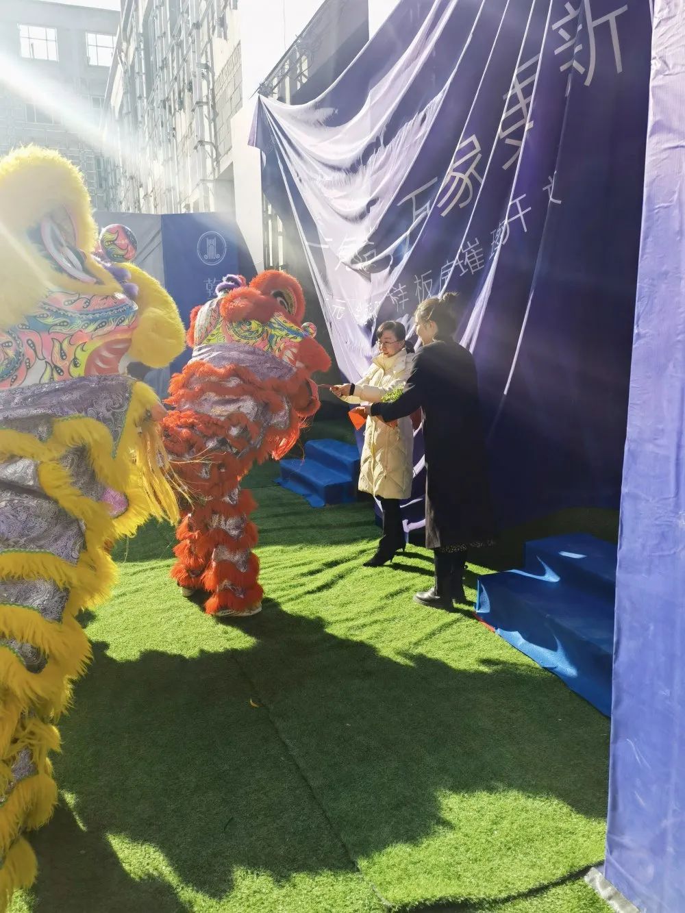 1609835304355287.jpg 1609835304355287.jpg