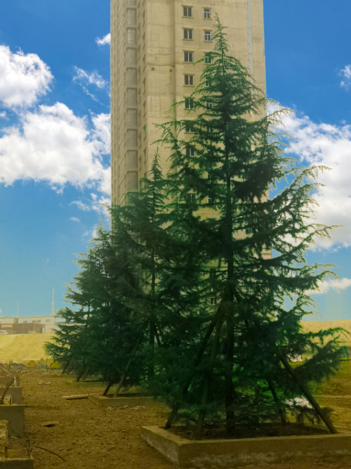 1616566601334788.png 1616566601334788.png