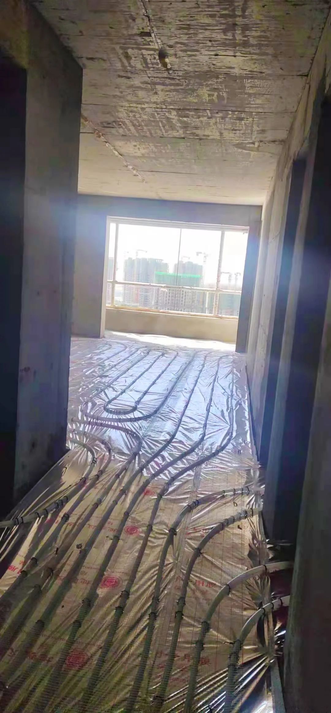 1617257779362861.jpg 1617257779362861.jpg