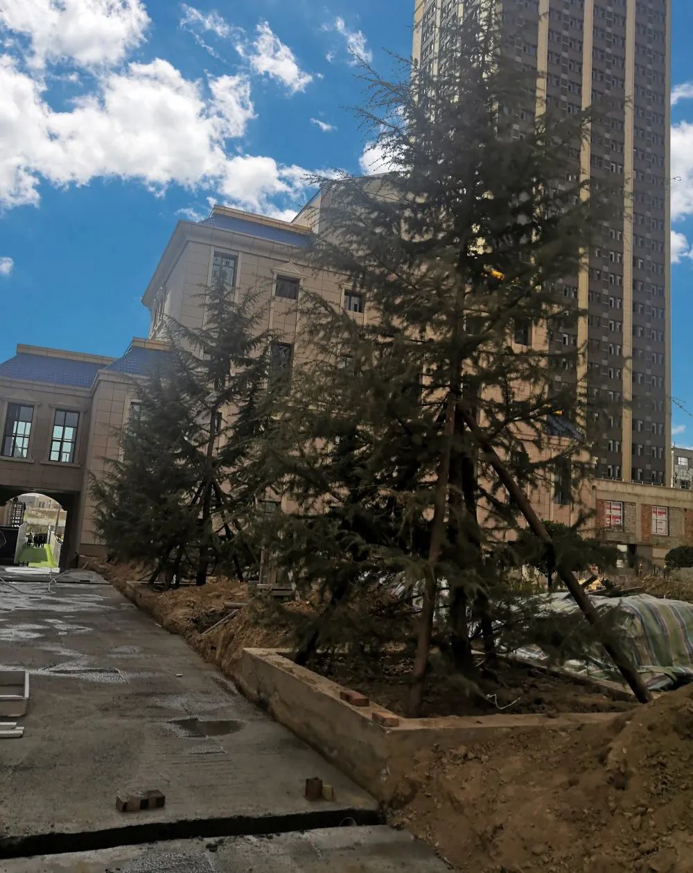 1619750321472801.jpg 1619750321472801.jpg