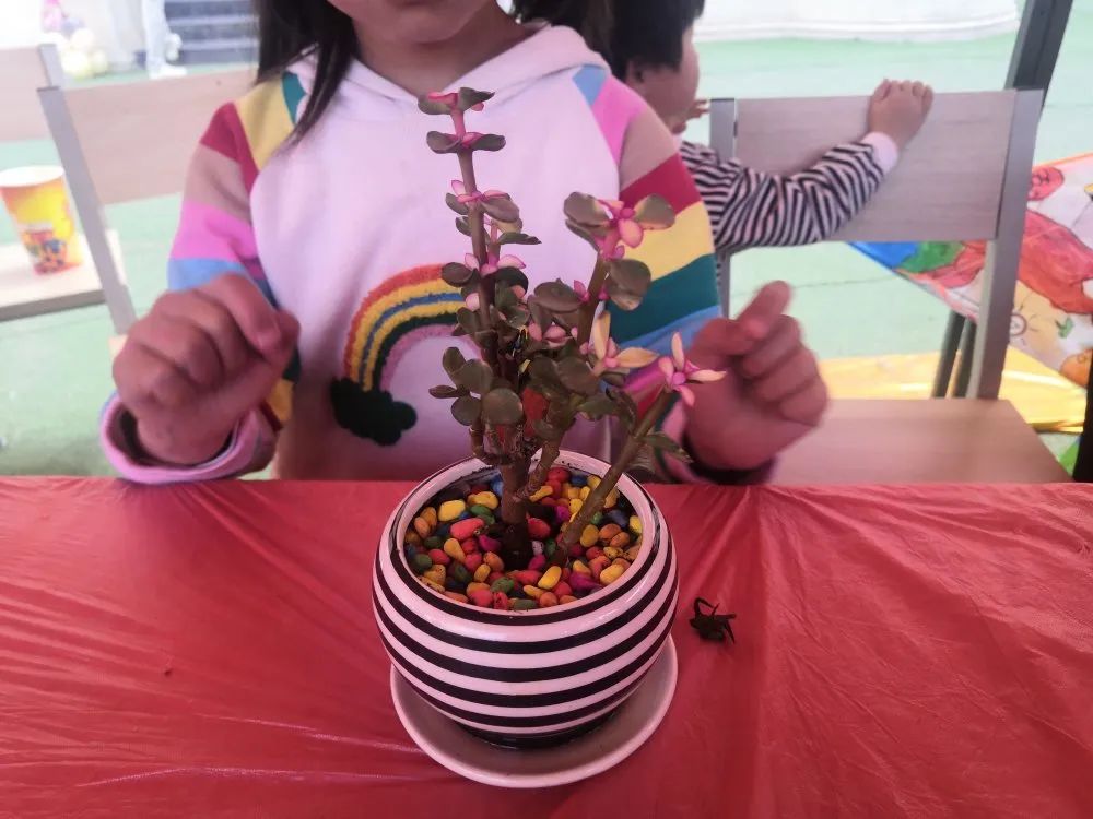 1620369675462110.jpg 1620369675462110.jpg