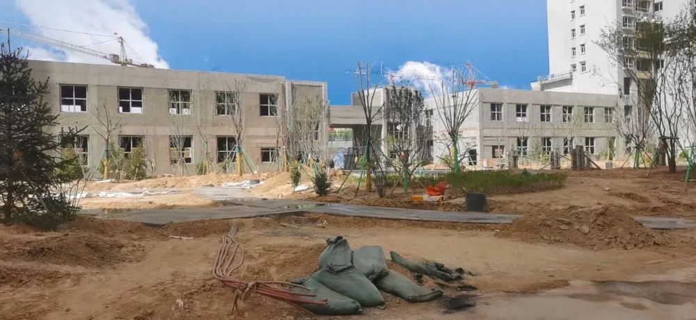 1620894613715421.jpg 1620894613715421.jpg