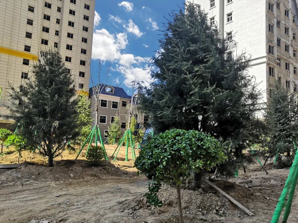 1621410046983687.jpg 1621410046983687.jpg