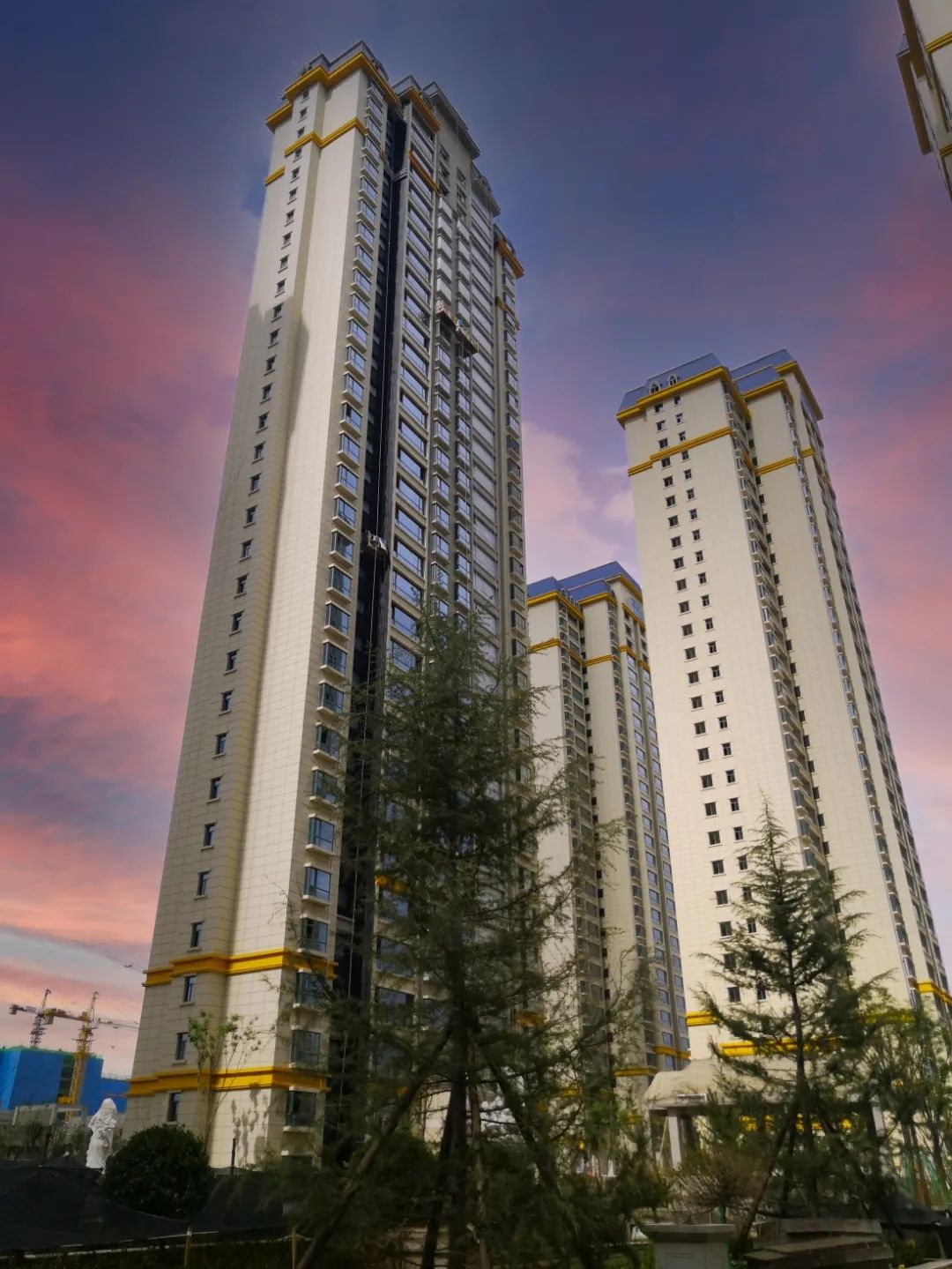 1625556024158162.jpg 1625556024158162.jpg